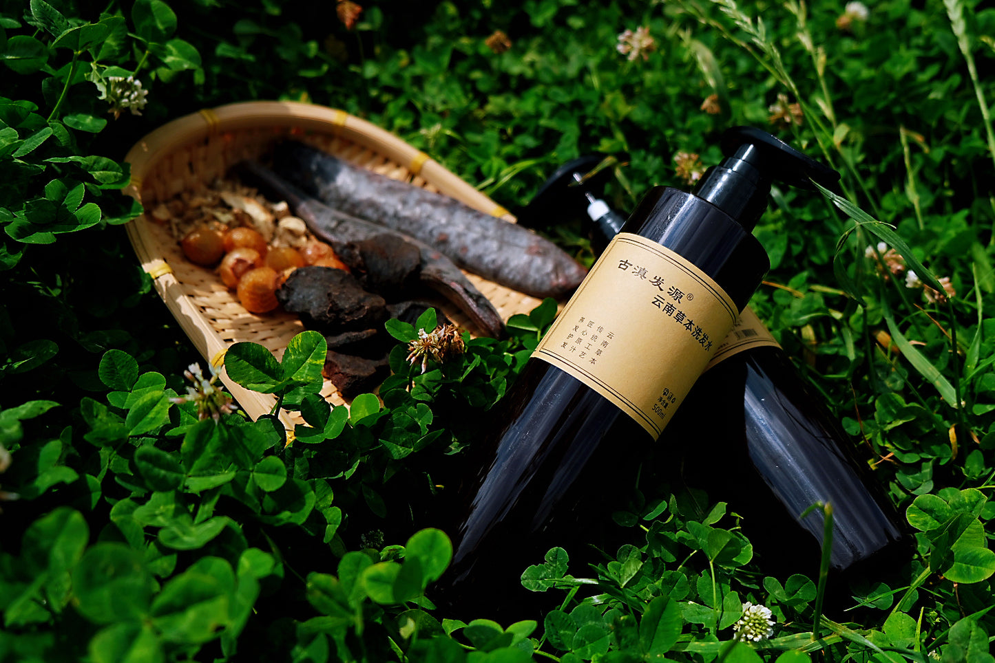 Ancient Chinese Herbal Shampoo - He Shou Wu, Cypress & Ginger for Strong Roots & Raven Hair