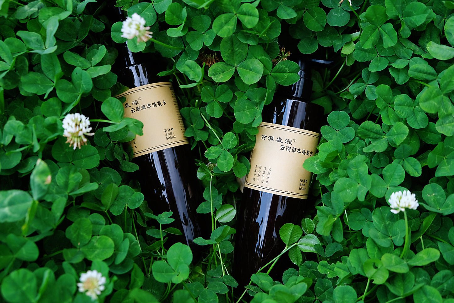 Ancient Chinese Herbal Shampoo - He Shou Wu, Cypress & Ginger for Strong Roots & Raven Hair
