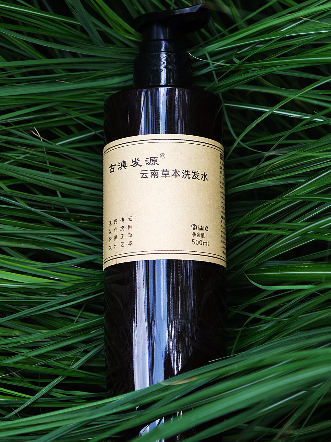 Ancient Chinese Herbal Shampoo - He Shou Wu, Cypress & Ginger for Strong Roots & Raven Hair
