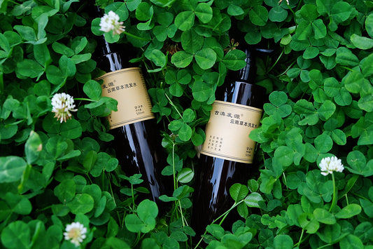 Ancient Chinese Herbal Shampoo - He Shou Wu, Cypress & Ginger for Strong Roots & Raven Hair